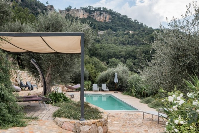 Дом с бассейном в окружении оливковых деревьев в Провансе