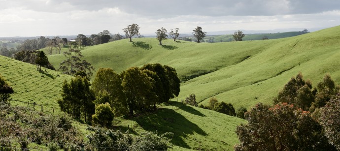 Фермерский дом на 113 ярко-зеленых акрах на юго-востоке Виктории, Австралия