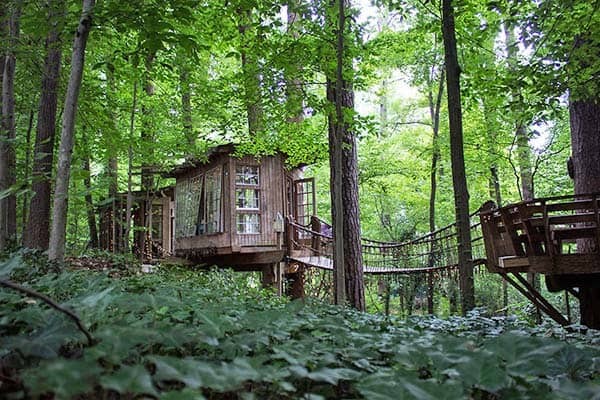 Окруженный лесом домик на дереве в Атланте