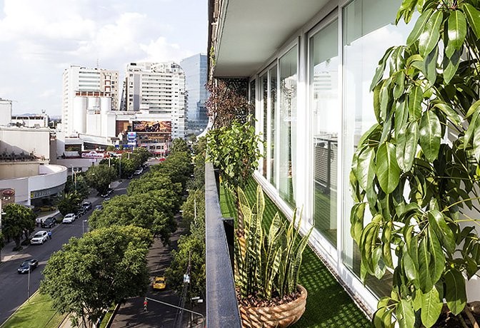 Светлая элегантная квартира, расположенная в Мехико