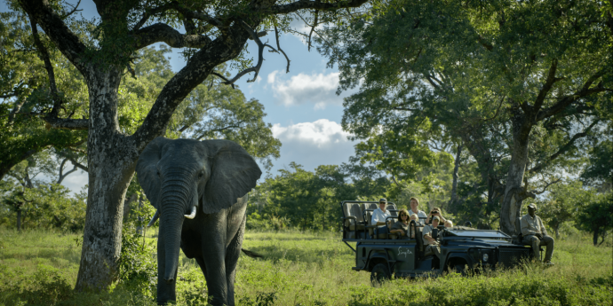 Отель Singita Castleton в заповеднике Саби-Санд, ЮАР