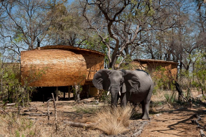 Уникальный дом у реки Окаванго в Ботсване, Южная Африка