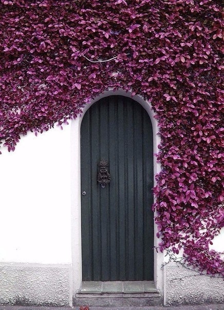 Doors in Paris. France