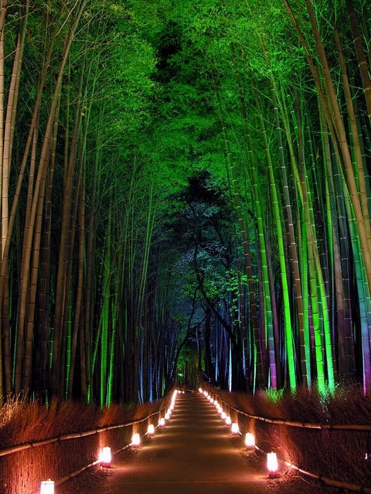Бамбуковый лес Сагано. Умиротворяющий перезвон Киото
