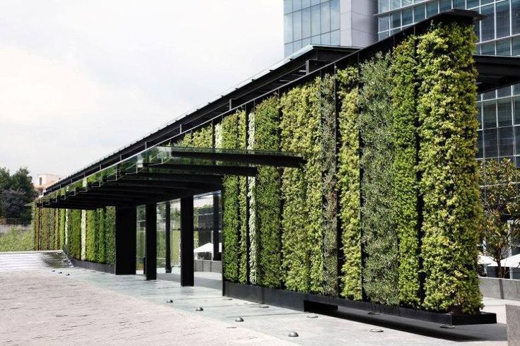 Озеленение фасадов
