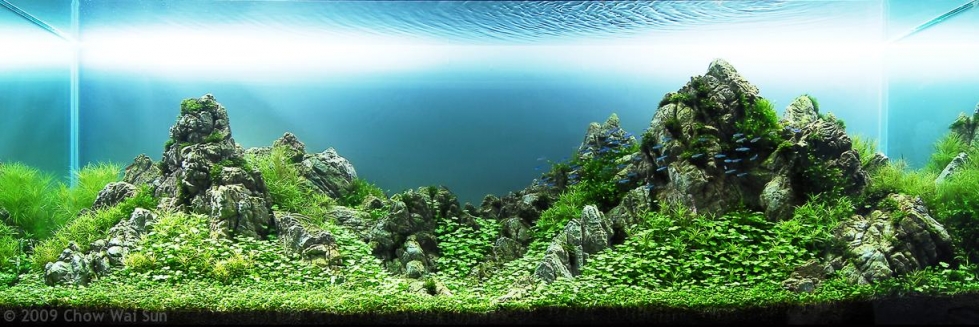 Aquascaping. Невероятный мир аквариумного дизайна