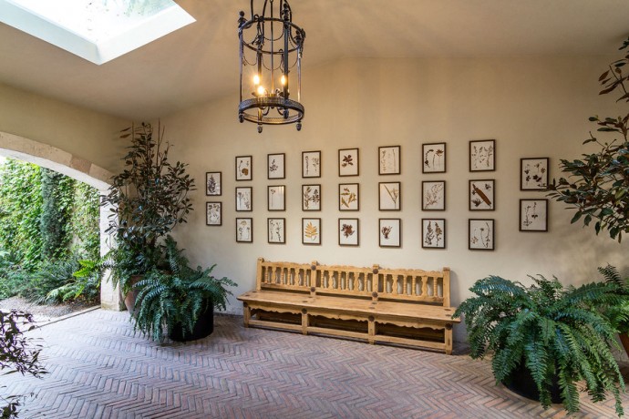 Дом дизайнера Софии Аспе в Мехико