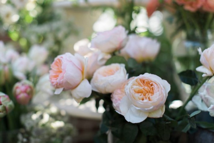 Дом антиквара Бетани Берк в пригороде Бостона