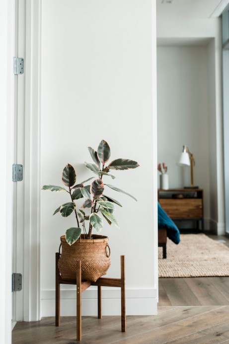 Апартаменты в Остине, Техас