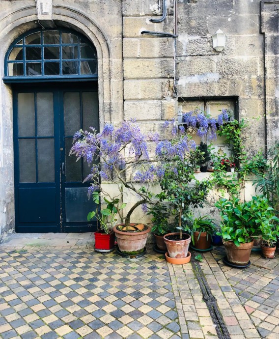 Квартира в доме XVIII века в Бордо, Франция (165 м2)