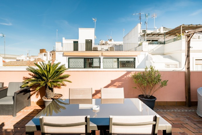 Светлые апартаменты с террасой на крыше