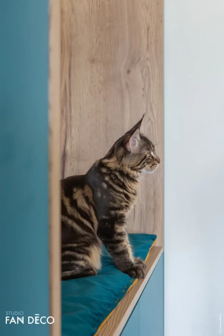 Таунхаус в Страсбурге, Франция