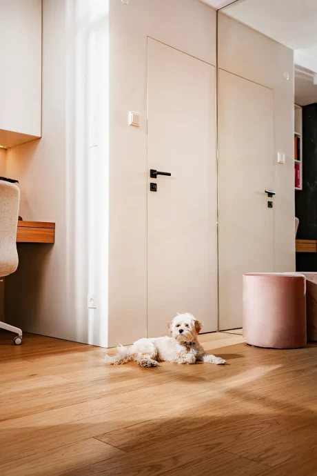 Квартира площадью 37 м2 в Варшаве