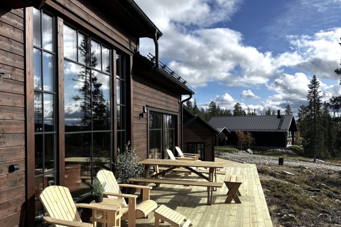 Современный дом в шведских горах