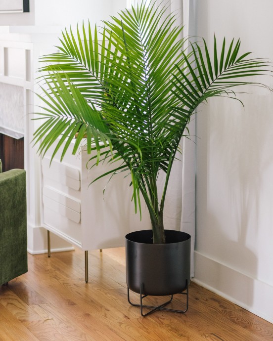 Особняк в Нашвилле, Теннесси Особняк в Нашвилле, Теннесси