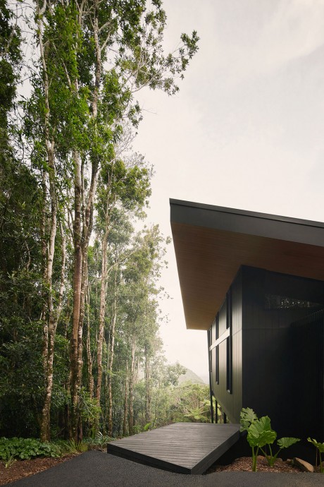 Современный дом на вершине горы Спрингбрук в Австралии
