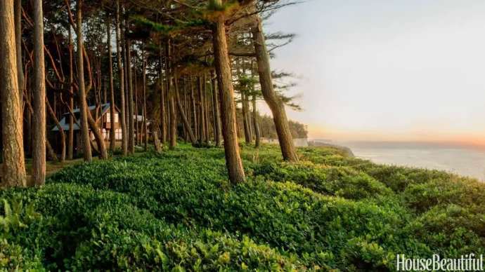 Дом недалеко от Сиэтла с видом на пролив Хуан-де-Фука Дом недалеко от Сиэтла с видом на пролив Хуан-де-Фука