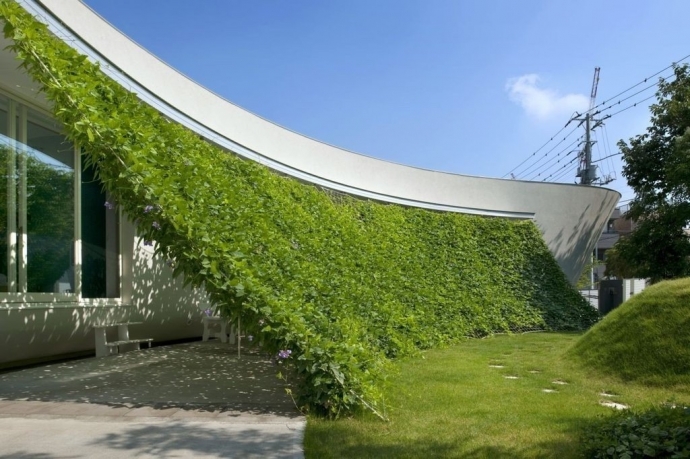Прекрасная зеленая стена, интегрированная в дизайн современного дома в Японии