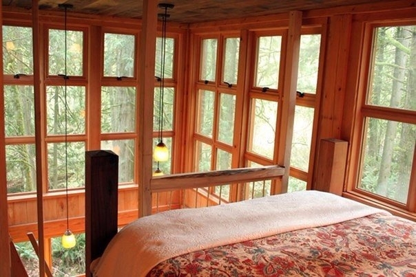 Домик на дереве